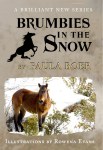 Brumbies in the Snow Cover