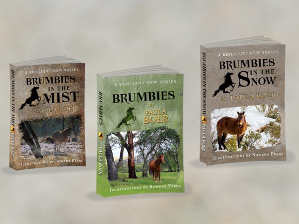 3D Books Brumbies first 3 books