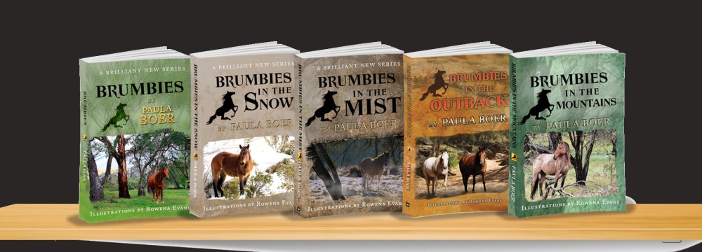 3D 5 Brumbies books 002