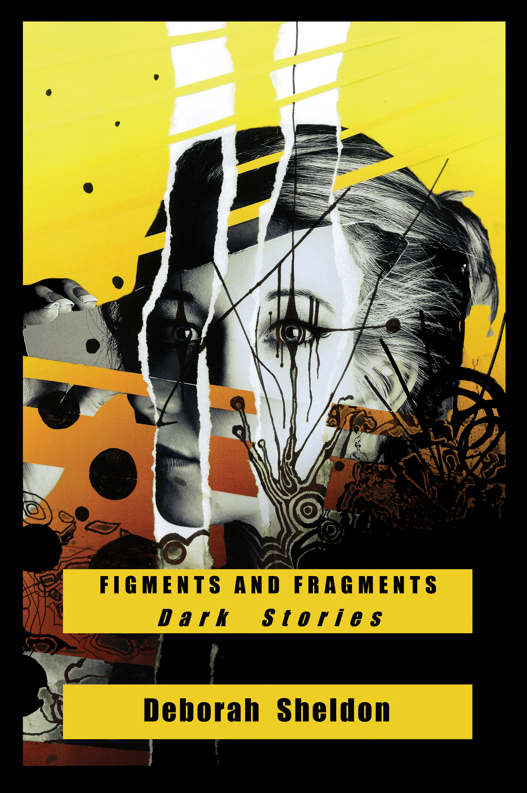 Figments and Fragments Book Cover
